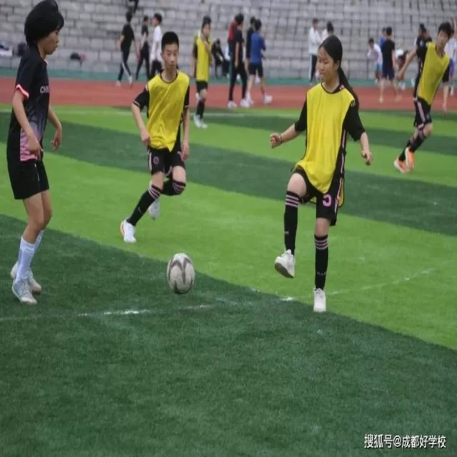 京东队季后赛表现值得期待
